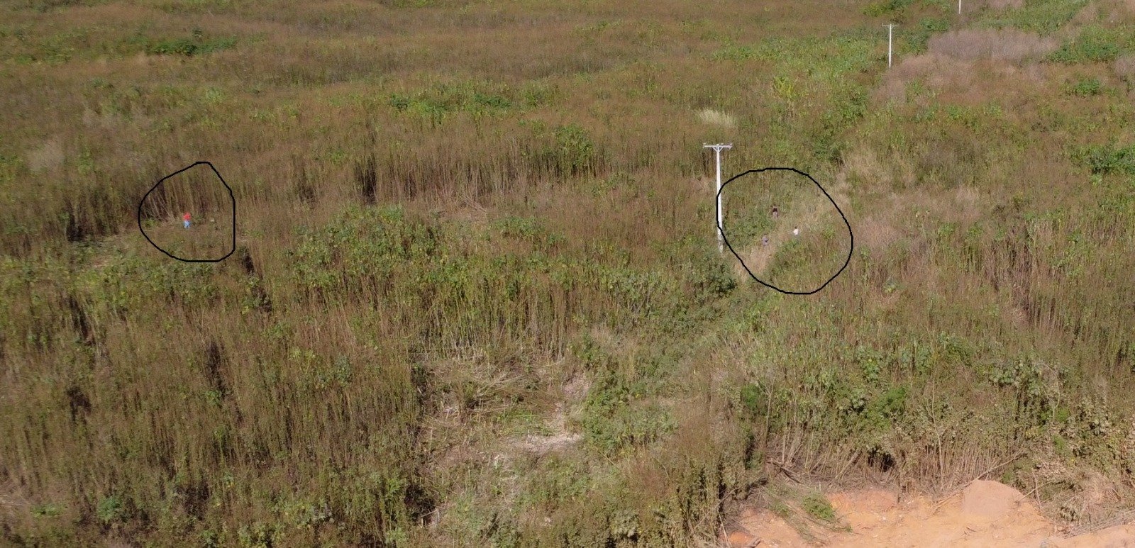 Cidade Estrutural, Cabeceira do Valo e 26 de Setembro entram em alerta após denúncias de possível ocupação irregular de terras